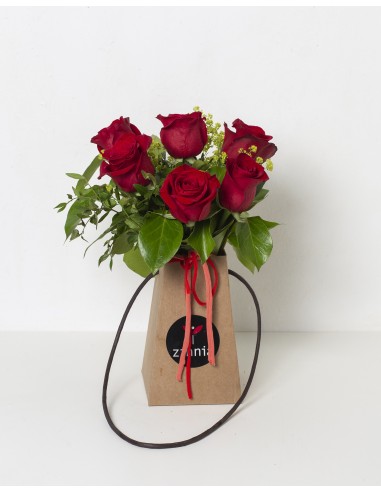Little Bag Six Red Roses
