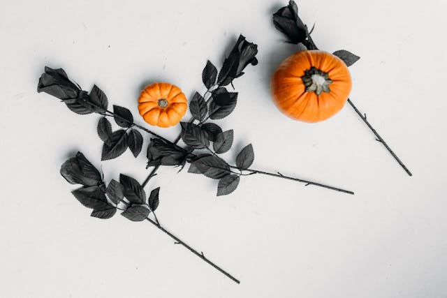 calabaza de halloween