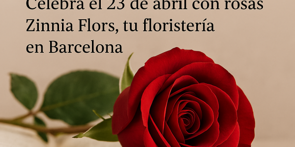 Rosa de Sant Jordi: Tradición y Amor en Cada Pétalo