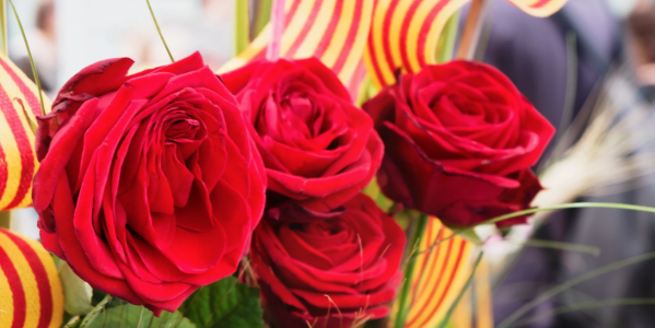 ¡Las rosas de Sant Jordi más frescas están en Zinnia Flors!