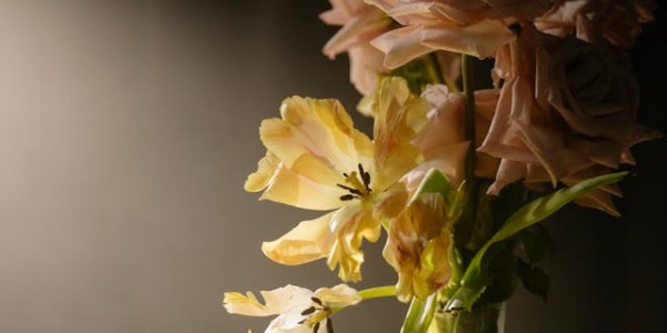 Suscripción de flores para regalo: un ramo cada mes con Zinnia Flors