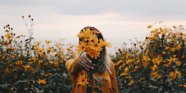¿Por qué regalar flores amarillas? Significado de las flores amarillas
