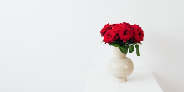 Significado de las rosas rojas: todo lo que necesitas saber