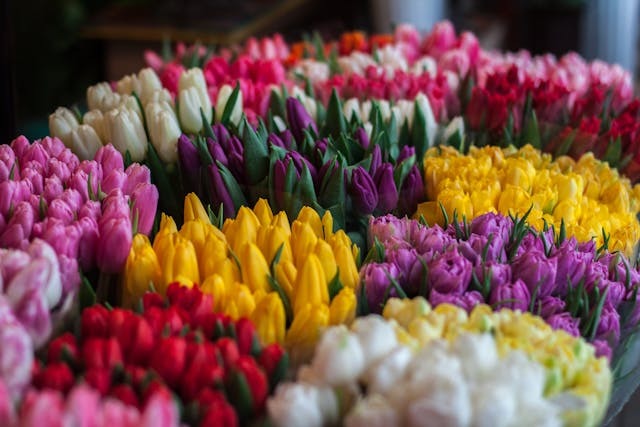 Las flores bonitas perfectas para un regalo