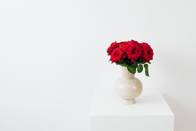 Significado de las rosas rojas: todo lo que necesitas saber