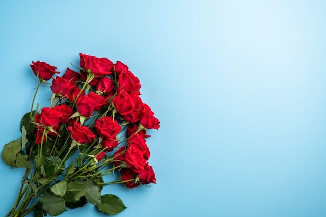 Cómo conservar un ramo de rosas: 8 consejos indispensables
